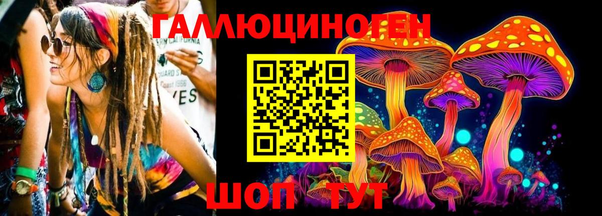Галлюциногенные грибы прущие грибы Белово
